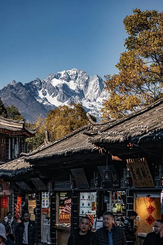 篮球训练法读后感怎么写_2